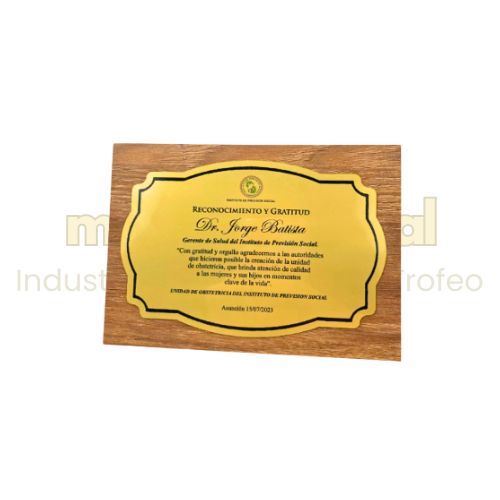 Imagen de Placa de reconocimiento - M3.105